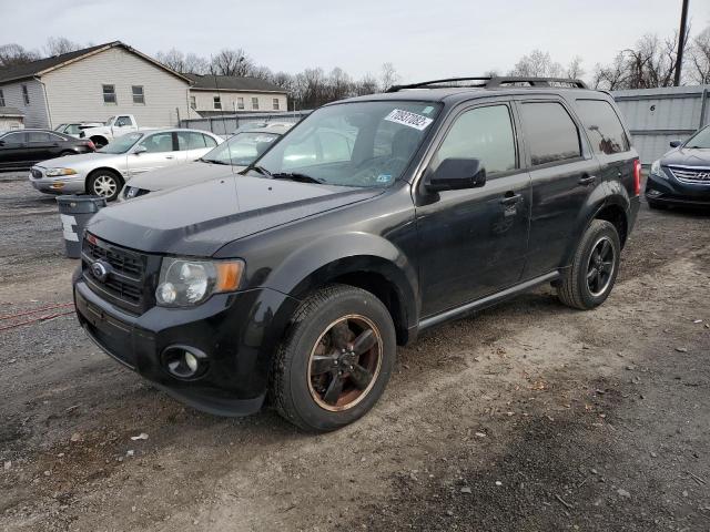 FORD ESCAPE XLT 2010 with VIN 1FMCU0DG8AKD37624 - Photo from auction
