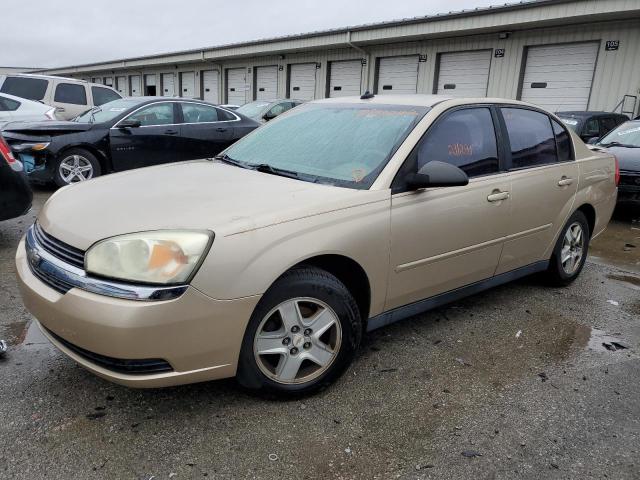 CHEVROLET MALIBU LS 2005 with VIN 1G1ZT54895F303996 - Photo from auction