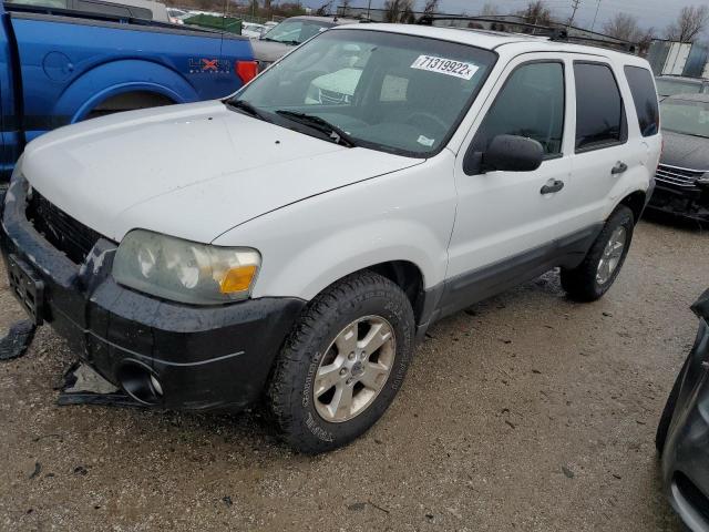 Photo 1 from auction – 2007 FORD ESCAPE XLT with VIN 1FMYU03157KA05233
