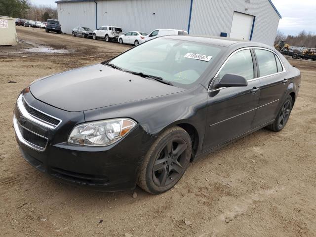 CHEVROLET MALIBU 2011 with VIN 1G1ZB5E15BF374614 - Photo from auction
