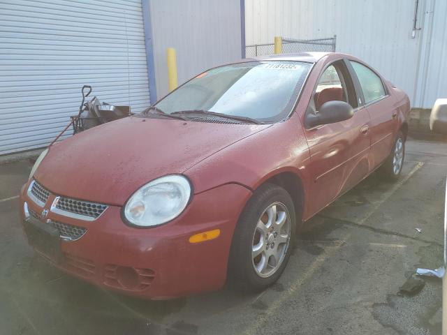 DODGE NEON 2005 with VIN 1B3ES56C05D105394 - Photo from auction