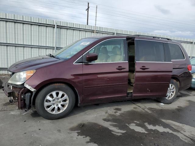 HONDA ODYSSEY EX 2009 with VIN 5FNRL386X9B003544 - Photo from auction
