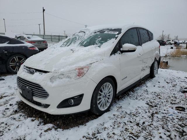 FORD C-MAX SEL 2013 with VIN 1FADP5BU2DL524285 - Photo from auction