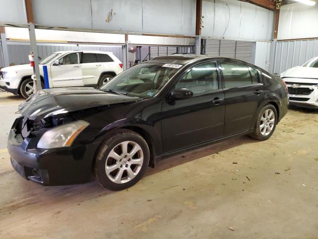 NISSAN MAXIMA SE 2008 with VIN 1N4BA41E18C837766 - Photo from auction