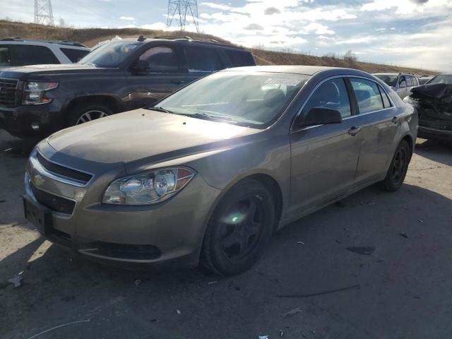 CHEVROLET MALIBU LS 2012 with VIN 1G1ZB5E0XCF174241 - Photo from auction