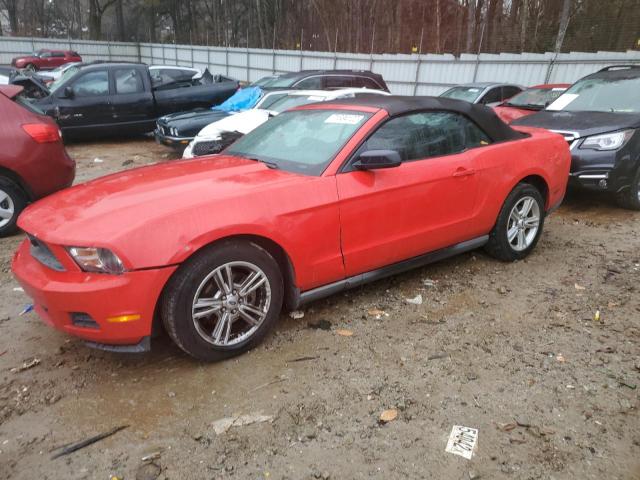 Photo 1 from auction – 2010 FORD MUSTANG with VIN 1ZVBP8ENXA5168317