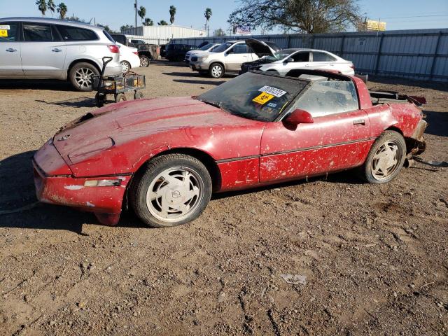 CHEVROLET CORVETTE 1988 with VIN 1G1YY2185J5107036 - Photo from auction