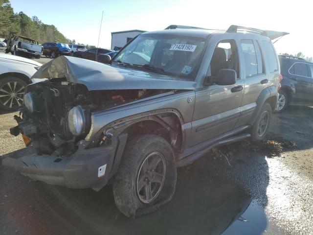 JEEP LIBERTY RE 2005 with VIN 1J4GL38K45W724494 - Photo from auction