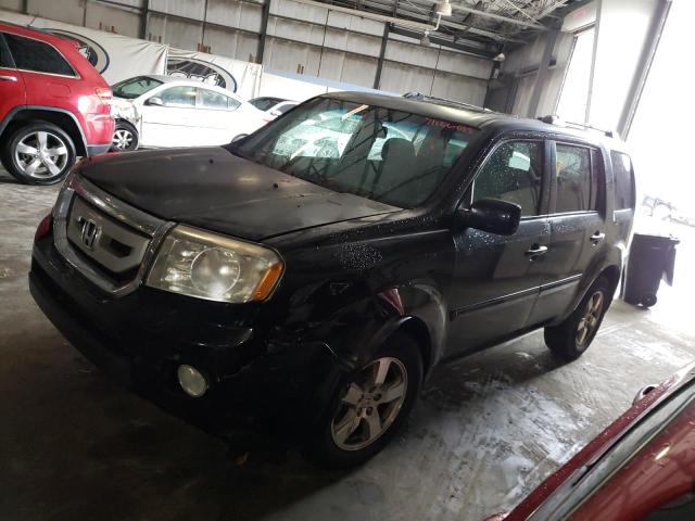 HONDA PILOT EXL 2010 with VIN 5FNYF3H58AB015738 - Photo from auction