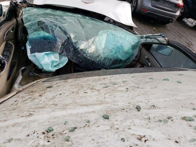 Photo 8 from auction – 2003 ACURA 3.2TL with VIN 19UUA56613A077600