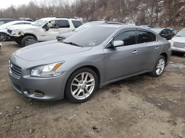 NISSAN MAXIMA S 2009 with VIN 1N4AA51E89C813029 - Photo from auction