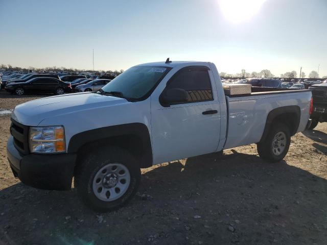 CHEVROLET SILVERADO 2008 with VIN 1GCEC14X88Z169989 - Photo from auction