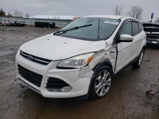 FORD ESCAPE SEL 2013 with VIN 1FMCU0HX6DUC77331 - Photo from auction