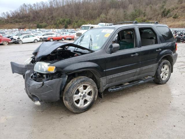 FORD ESCAPE XLT 2007 with VIN 1FMYU93147KA35974 - Photo from auction