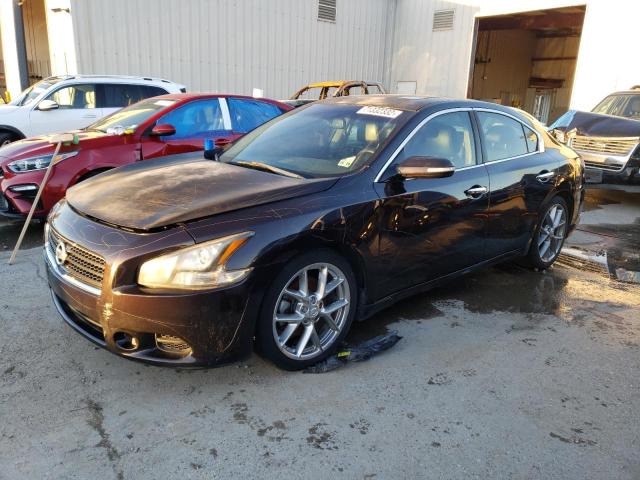 NISSAN MAXIMA S 2011 with VIN 1N4AA5AP5BC812721 - Photo from auction