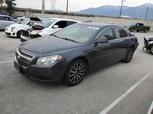 CHEVROLET MALIBU LS 2012 with VIN 1G1ZB5E08CF287959 - Photo from auction