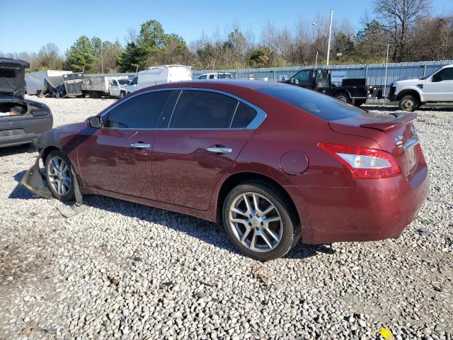Photo 2 from auction – 2010 NISSAN MAXIMA S with VIN 1N4AA5AP3AC838376