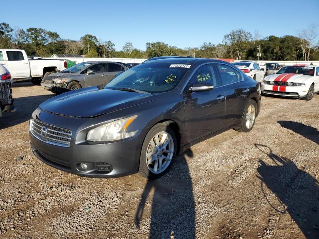 NISSAN MAXIMA S 2010 with VIN 1N4AA5AP8AC854928 - Photo from auction