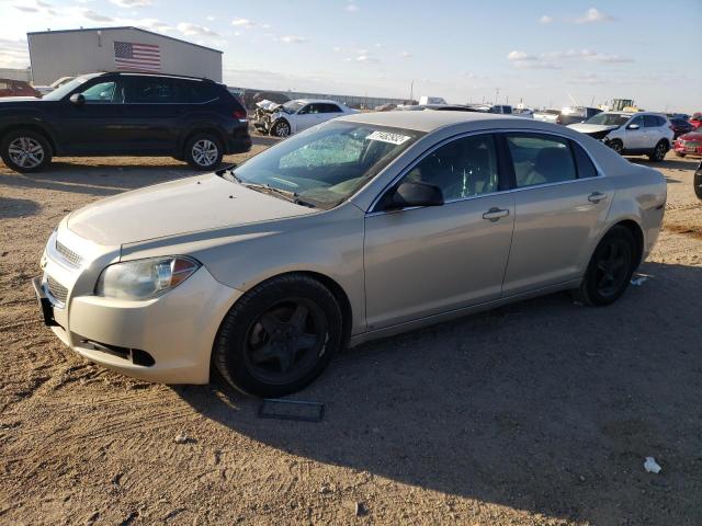 CHEVROLET MALIBU LS 2010 with VIN 1G1ZA5E02AF112560 - Photo from auction