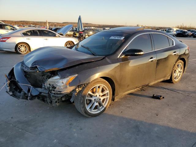 NISSAN MAXIMA 2009 with VIN 1N4AA51E59C828877 - Photo from auction