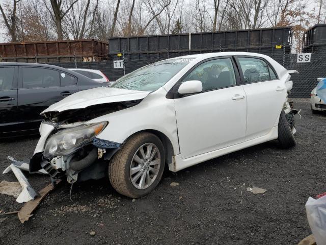 TOYOTA COROLLA BA 2010 with VIN 2T1BU4EE9AC478840 - Photo from auction