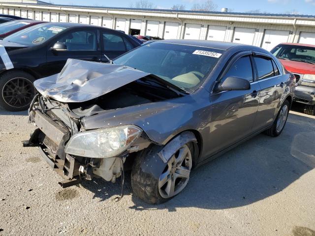 CHEVROLET MALIBU LS 2010 with VIN 1G1ZA5E0XAF286246 - Photo from auction