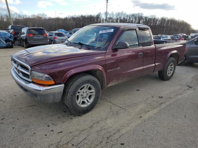 DODGE DAKOTA SLT 2002 with VIN 1B7GL42X72S722371 - Photo from auction