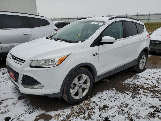 FORD ESCAPE SE 2014 with VIN 1FMCU9GX2EUB30771 - Photo from auction