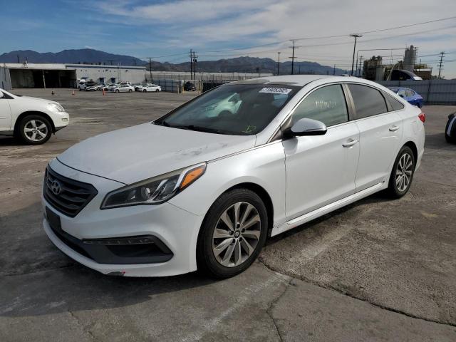 HYUNDAI SONATA SPO 2016 with VIN 5NPE34AF8GH316718 - Photo from auction