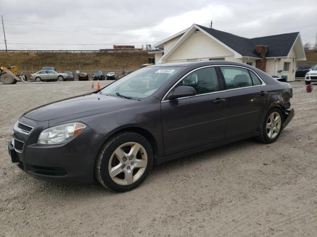 CHEVROLET MALIBU LS 2010 with VIN 1G1ZB5EB9A4165315 - Photo from auction