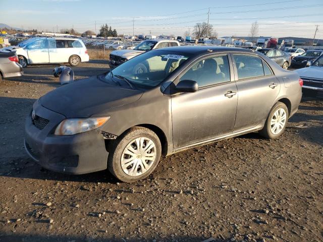 TOYOTA COROLLA BA 2010 with VIN 1NXBU4EE5AZ282831 - Photo from auction
