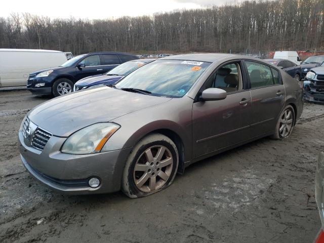 NISSAN MAXIMA SE 2005 with VIN 1N4BA41E65C839279 - Photo from auction