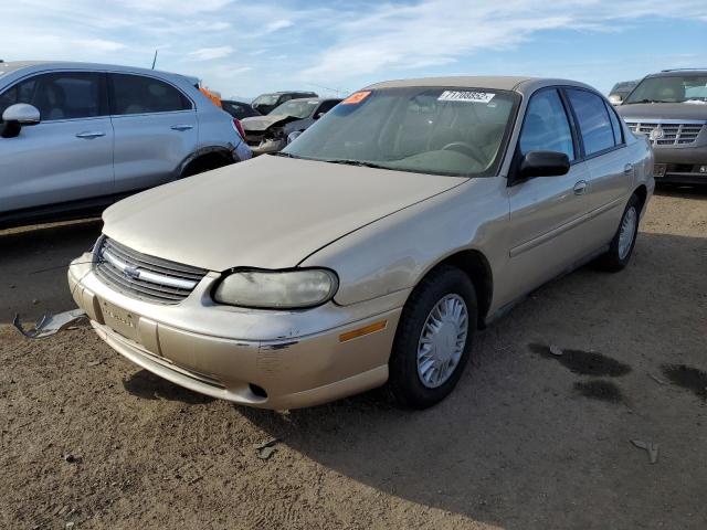 CHEVROLET MALIBU 2002 with VIN 1G1ND52J52M578841 - Photo from auction