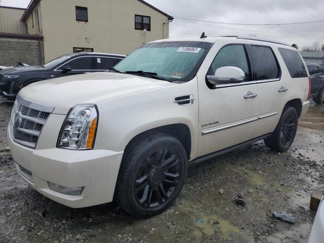 CADILLAC ESCALADE P 2012 with VIN 1GYS4DEF1CR244185 - Photo from auction
