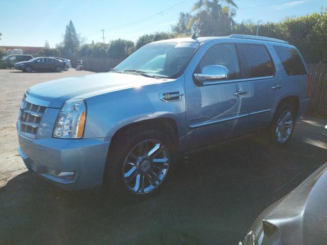 CADILLAC ESCALADE P 2011 with VIN 1GYS4FEJ7BR258171 - Photo from auction