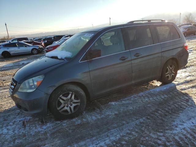 HONDA ODYSSEY EX 2006 with VIN 5FNRL38446B446279 - Photo from auction