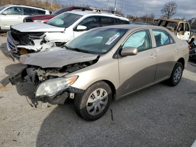 TOYOTA COROLLA BA 2010 with VIN 2T1BU4EE1AC435092 - Photo from auction