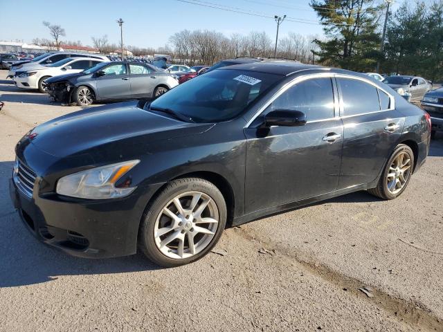NISSAN MAXIMA S 2011 with VIN 1N4AA5AP4BC819692 - Photo from auction