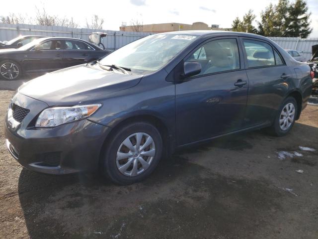 TOYOTA COROLLA BA 2010 with VIN 2T1BU4EE0AC270846 - Photo from auction