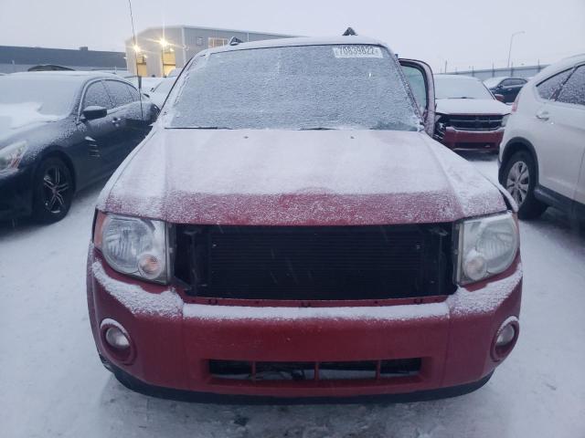 Photo 5 from auction – 2009 FORD ESCAPE XLT with VIN 1FMCU93G49KB93314