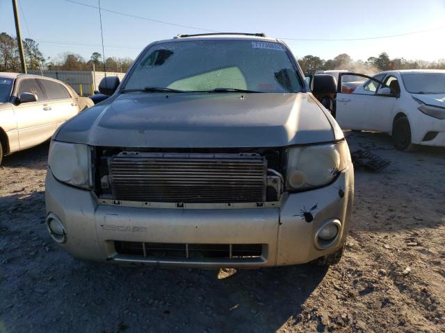Photo 5 from auction – 2010 FORD ESCAPE XLT with VIN 1FMCU0DG1AKB32050