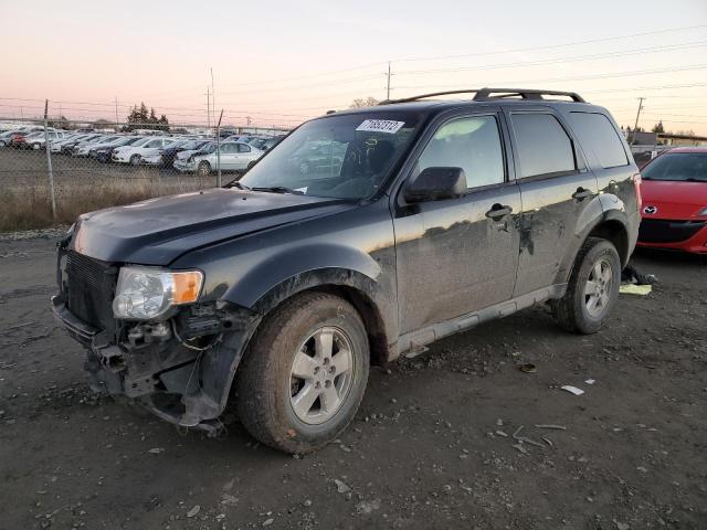 FORD ESCAPE XLT 2009 with VIN 1FMCU03G29KC25513 - Photo from auction