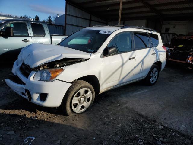 TOYOTA RAV4 2012 with VIN 2T3BF4DV2CW183728 - Photo from auction