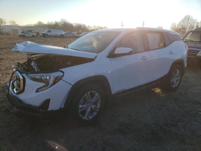 GMC TERRAIN SL 2019 with VIN 3GKALMEV2KL294289 - Photo from auction