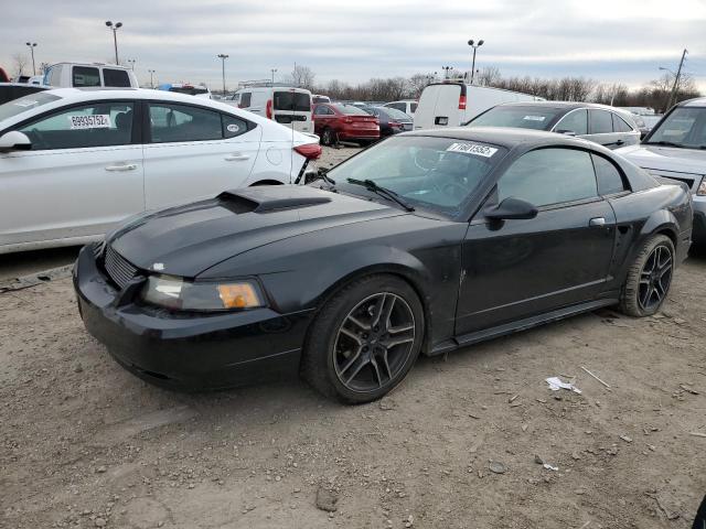 FORD MUSTANG GT 2003 with VIN 1FAFP42X13F337632 - Photo from auction