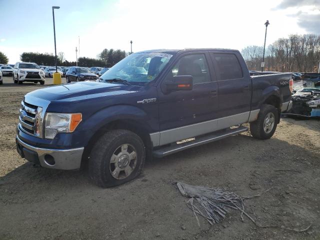 FORD F150 SUPER 2009 with VIN 1FTRW14849FA74687 - Photo from auction