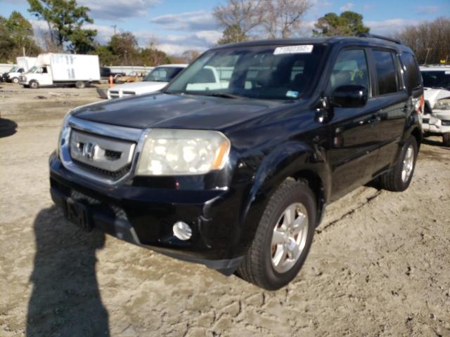 HONDA PILOT EXL 2011 с VIN 5FNYF4H6XBB065685 - Фото с аукциона