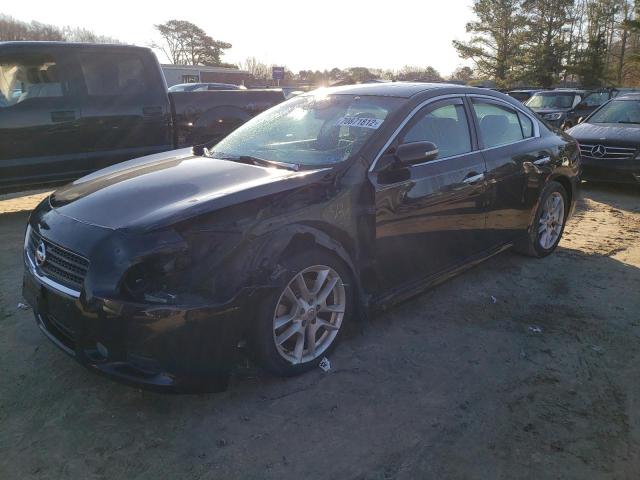 NISSAN MAXIMA S 2011 with VIN 1N4AA5AP3BC831218 - Photo from auction