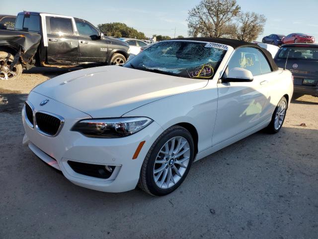 BMW 228 I 2015 with VIN WBA1K5C54FV474223 - Photo from auction