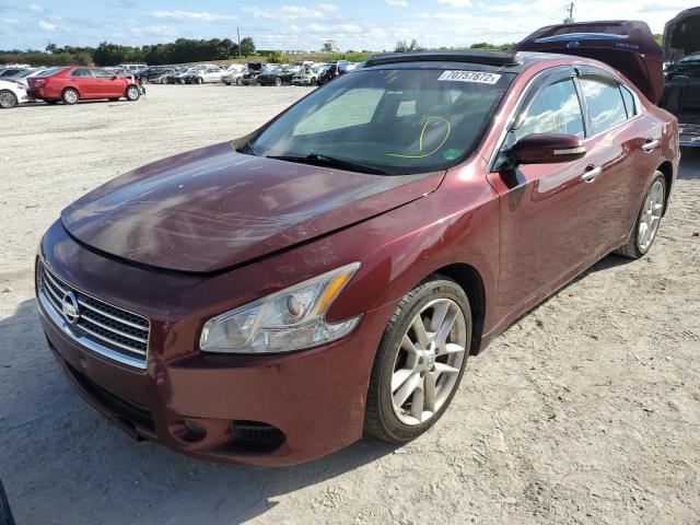 NISSAN MAXIMA SV 2010 with VIN 1N4AA5AP3AC814286 - Photo from auction